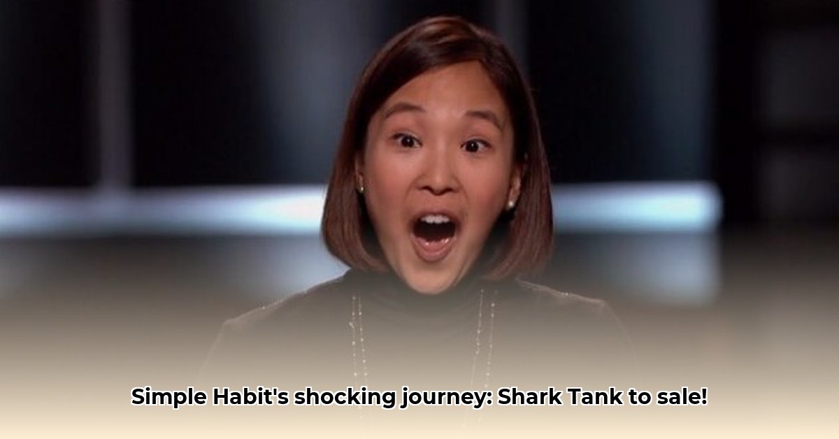 simple-habit-net-worth